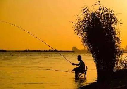 钓鱼人得会保养鱼竿，能省下很多钱！